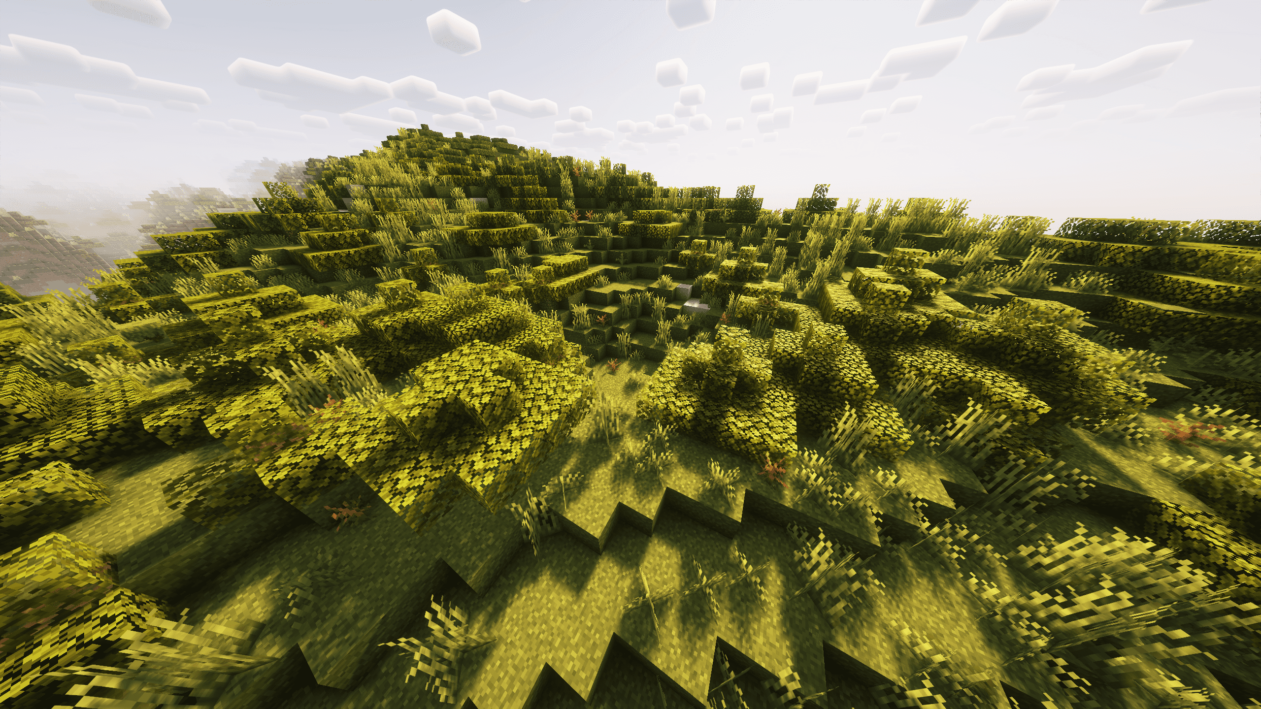 Grass 2