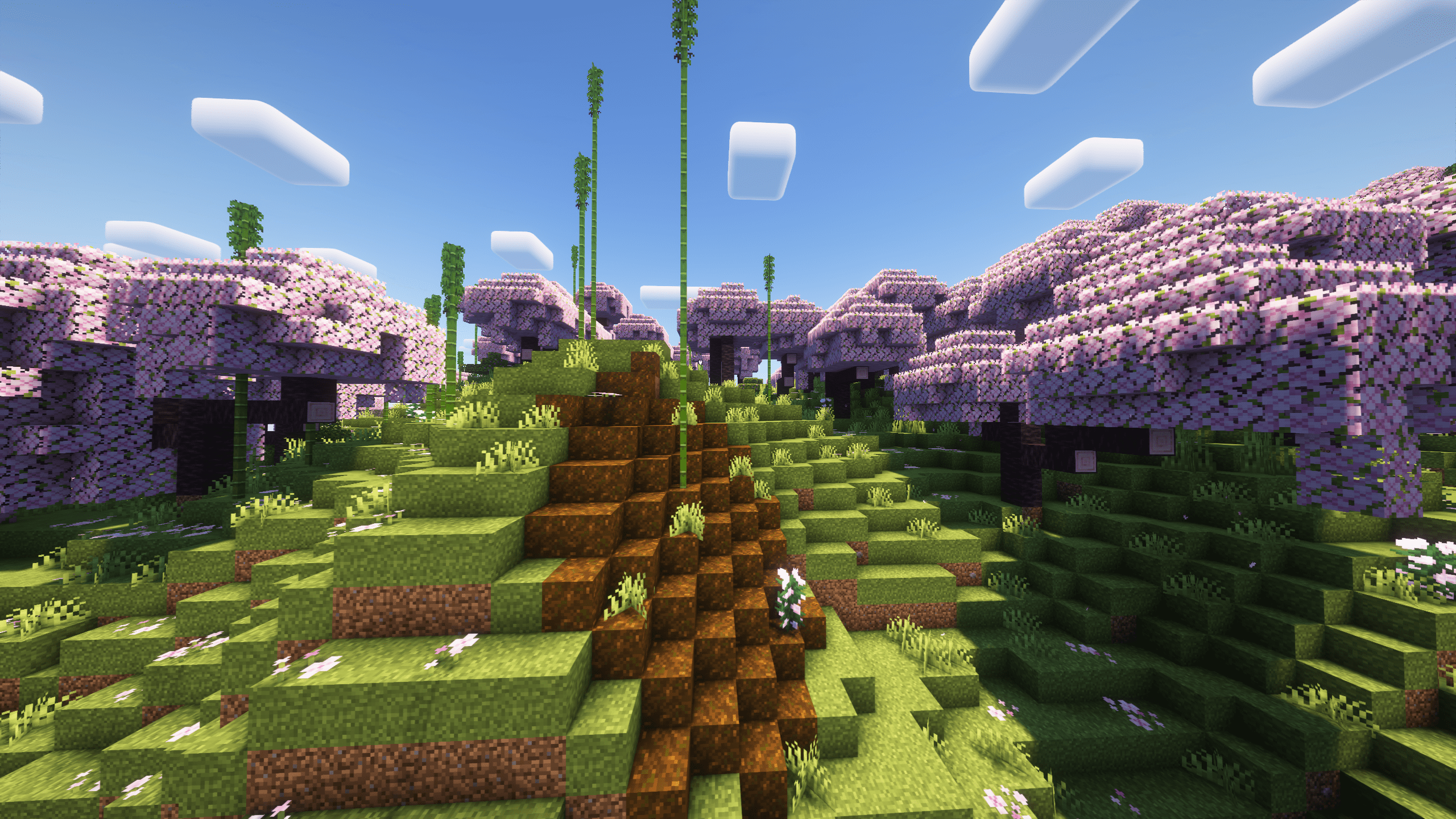 Grass 3