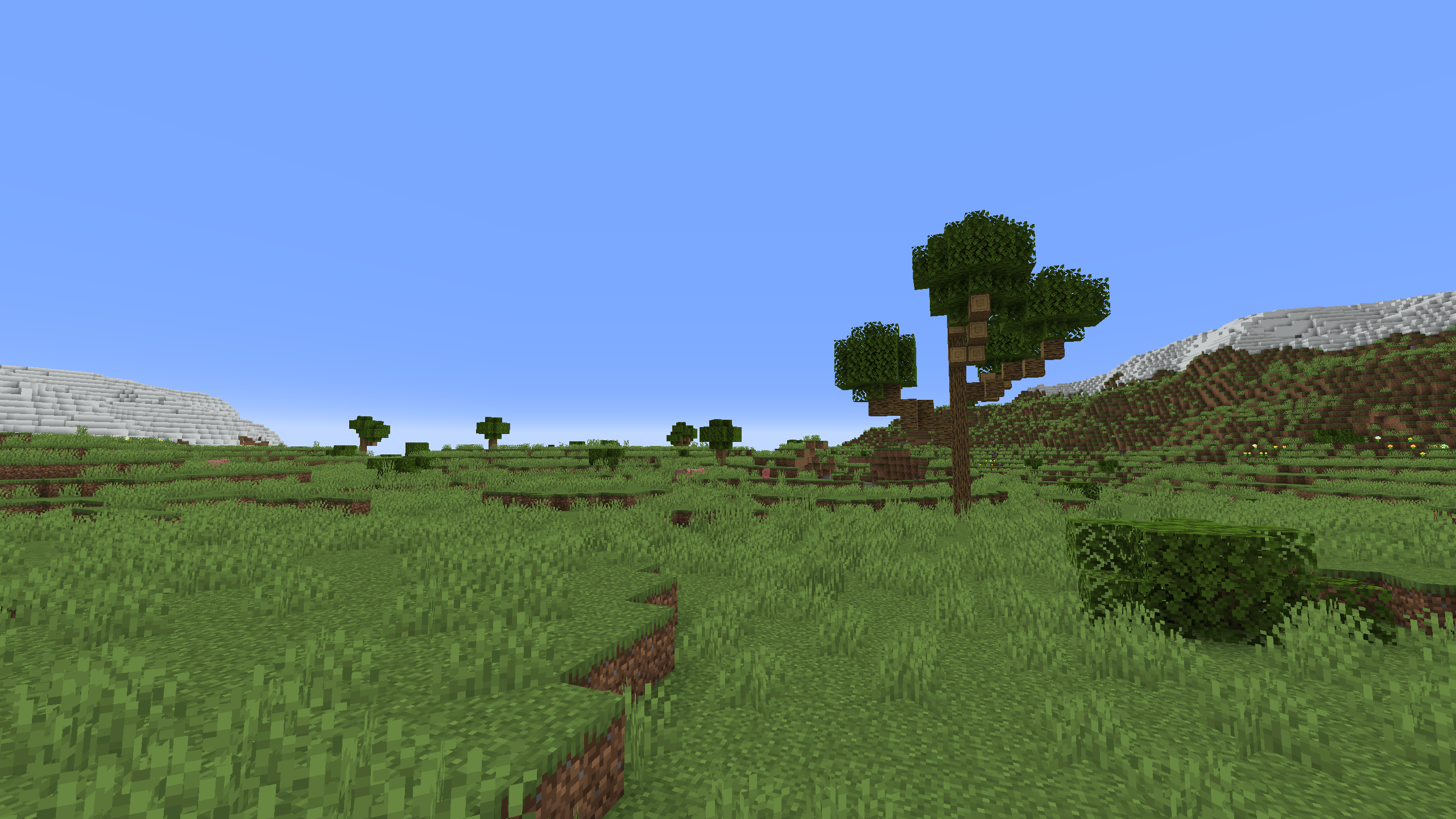 screenshot thumbnail
