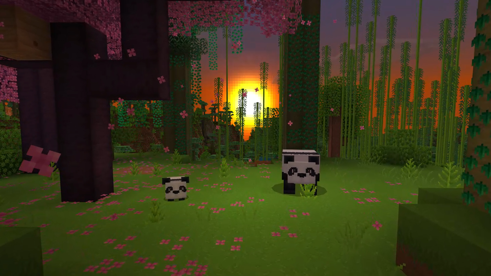 Pandas in a Bamboo Forest at Sunset