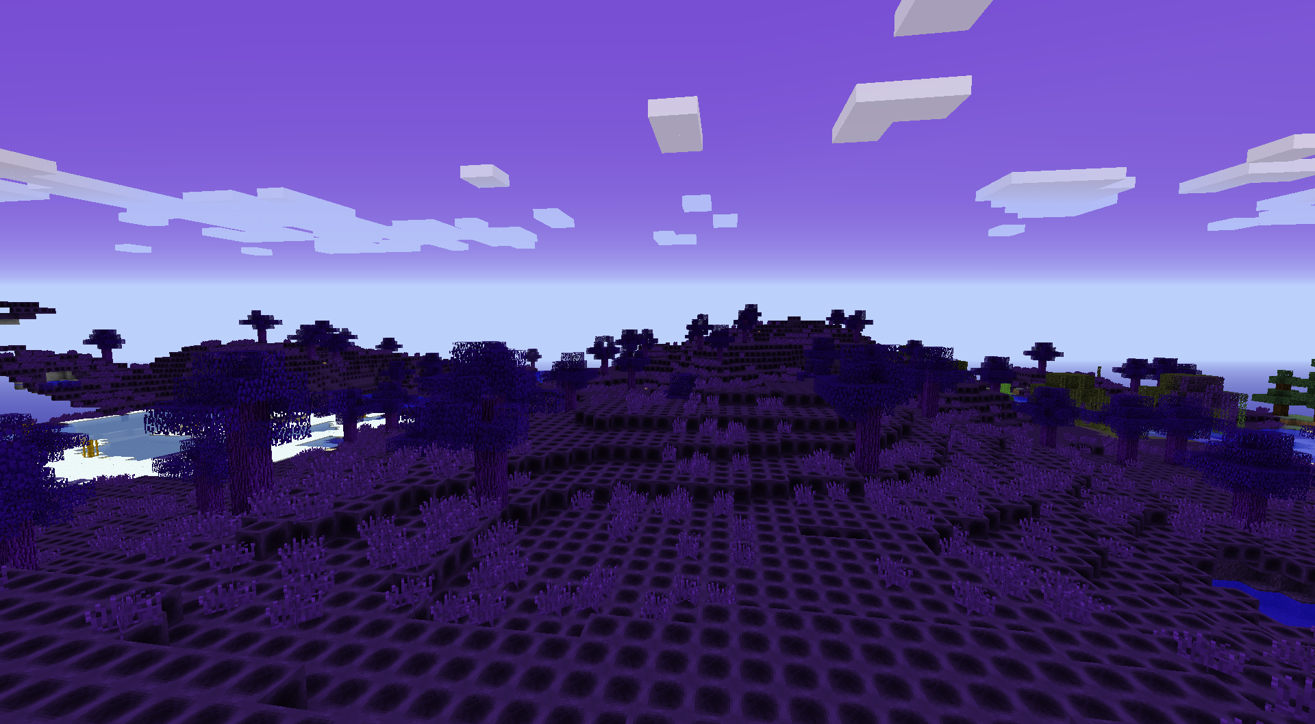 Amethyst Grove