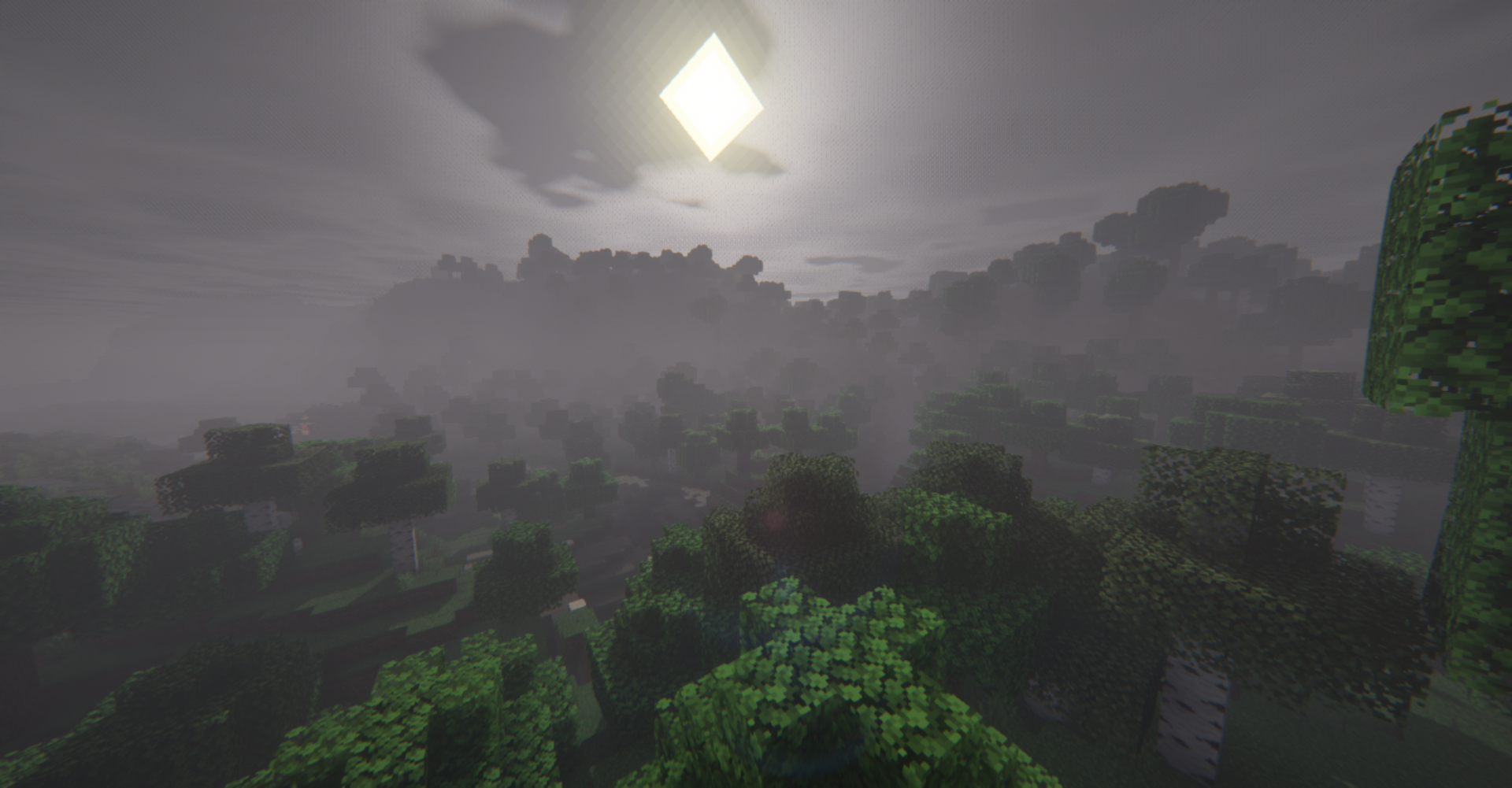 Just a forest