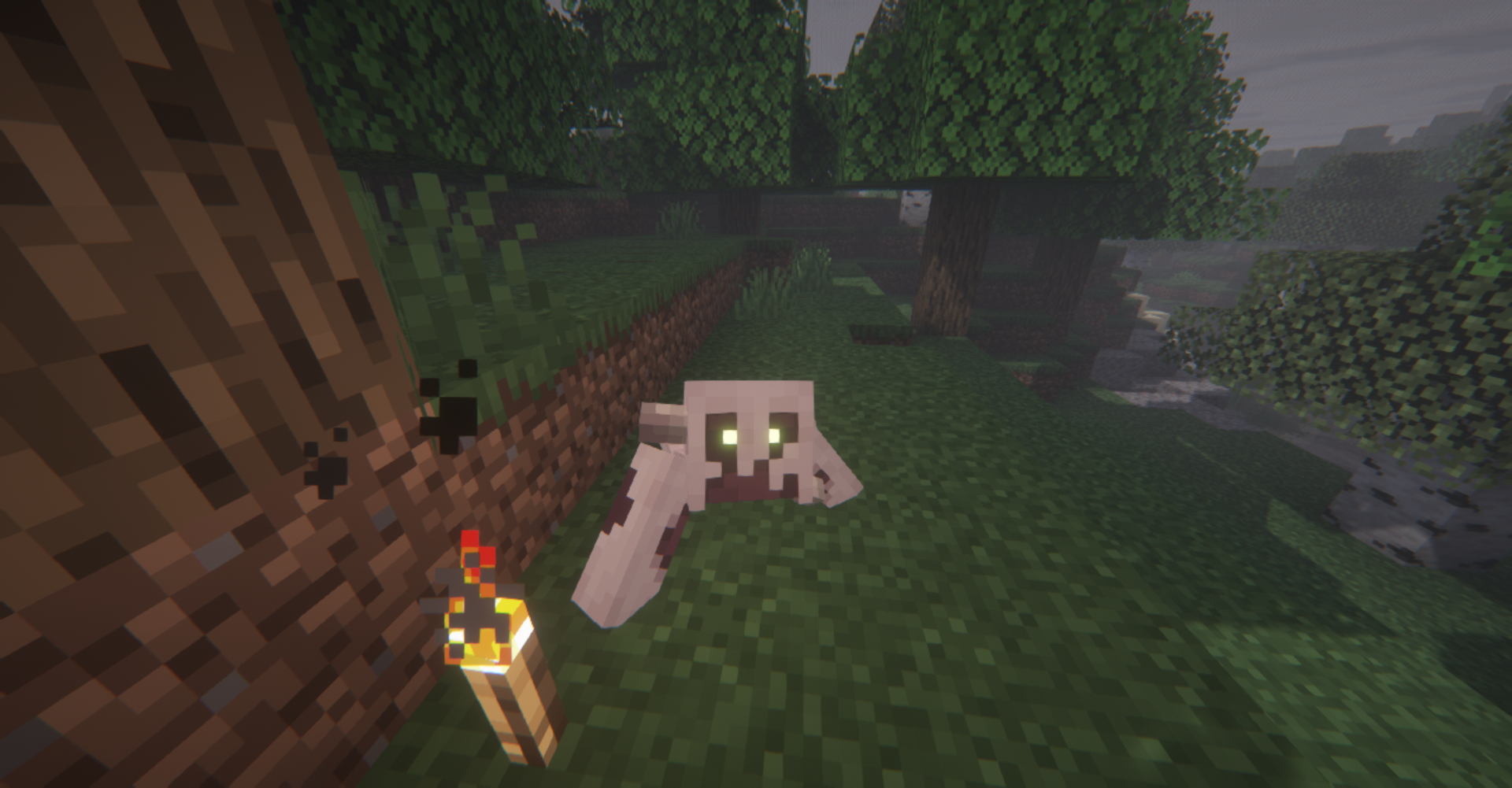 Me and my dog