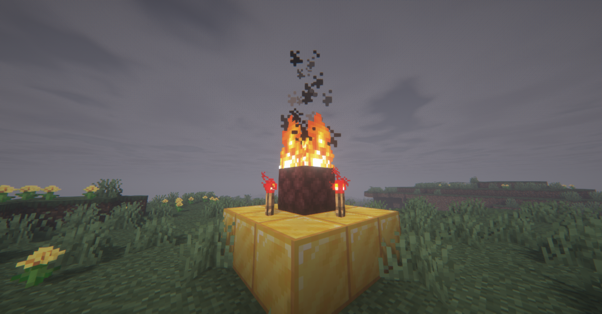 what could possibly go wrong?