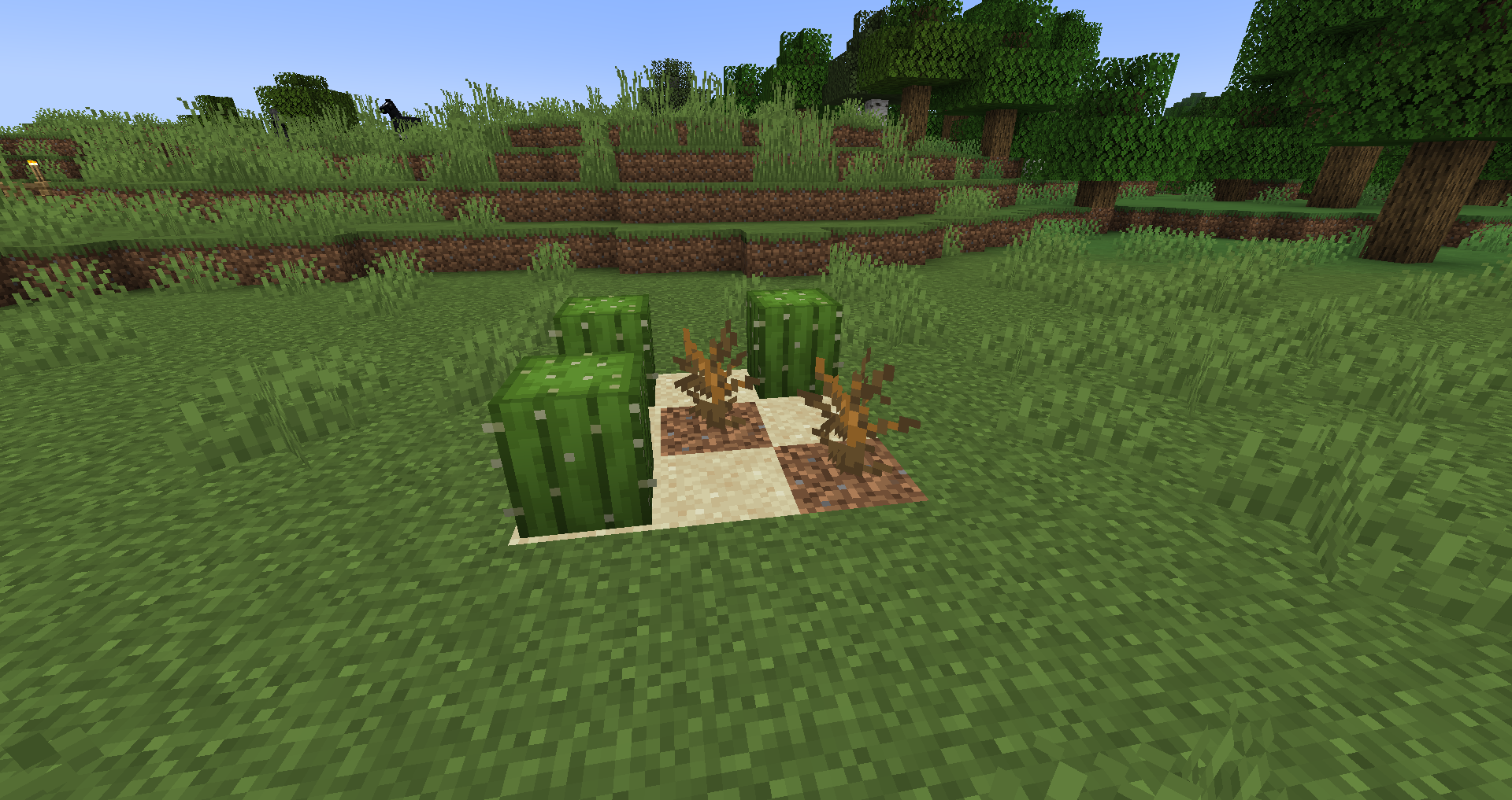 Zone far too hot and humid for cacti