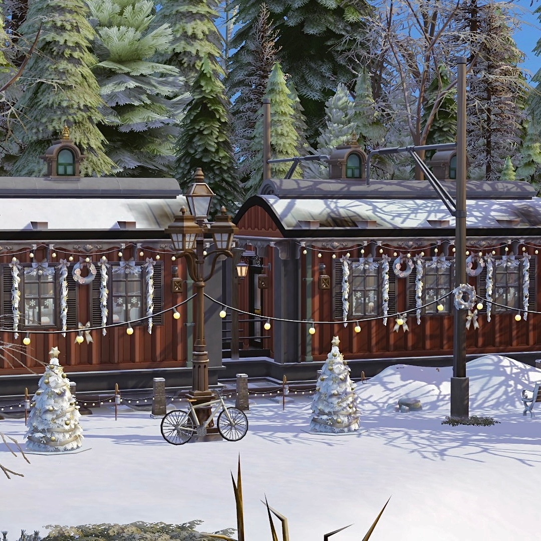 Train Restaurant 