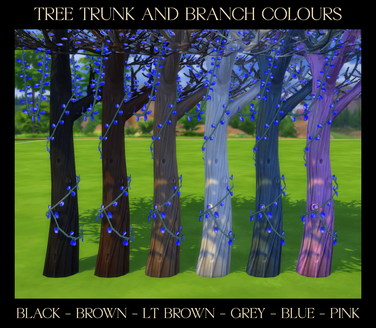 tree trunk and branch colours