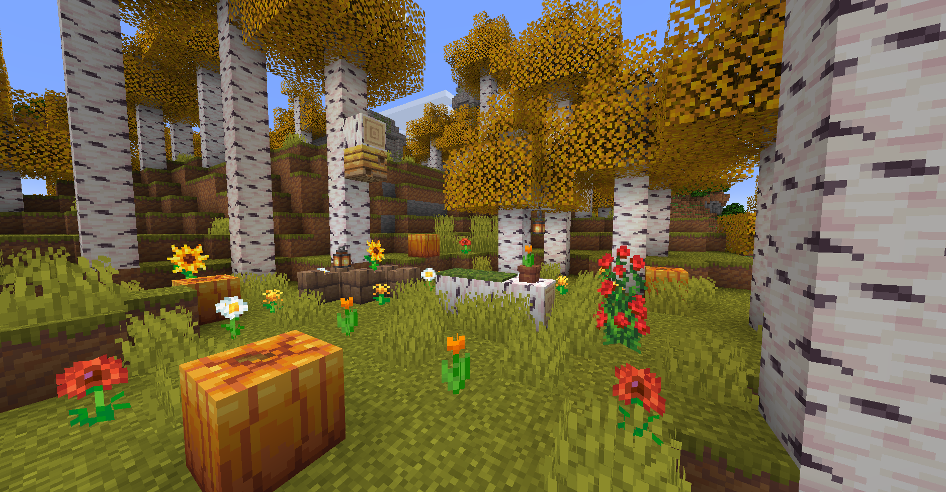 New Refreshed Birch Biome