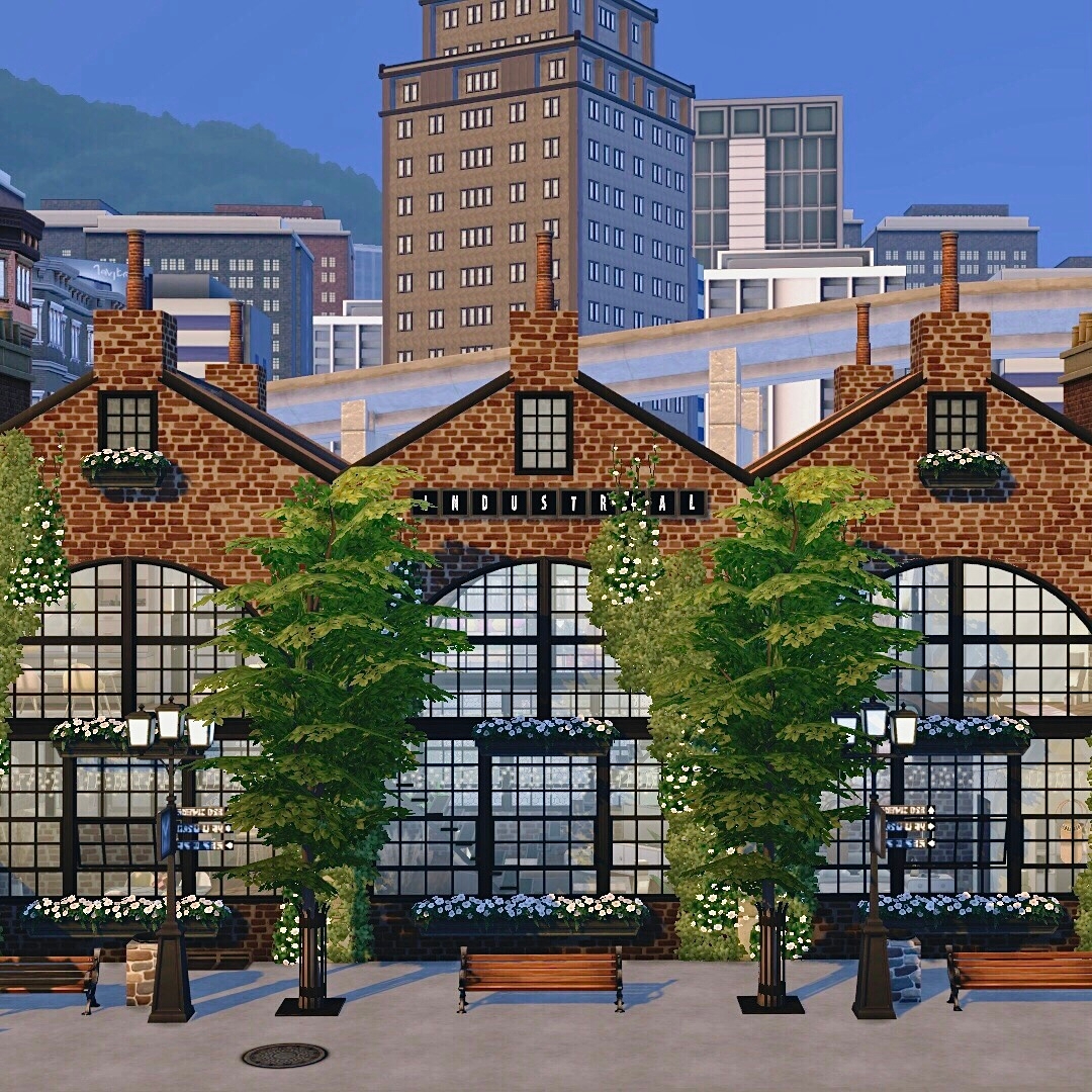 Industrial Loft 