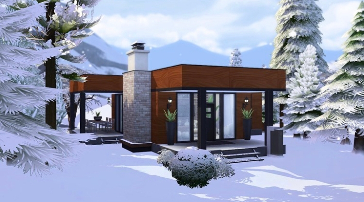 Modern House