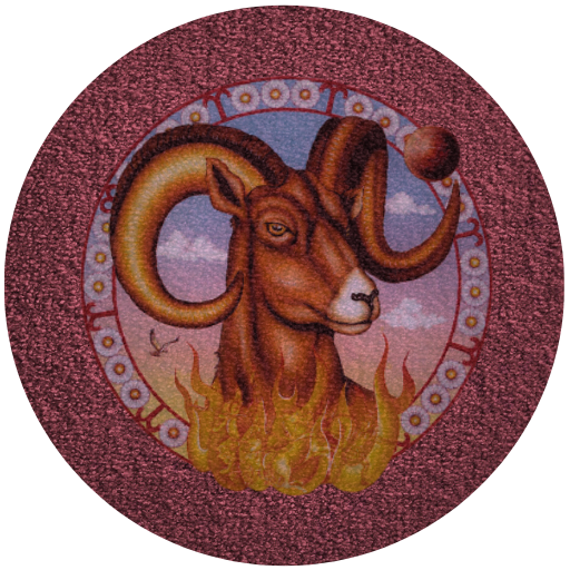 zodiac signs rug