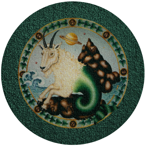 zodiac signs rug