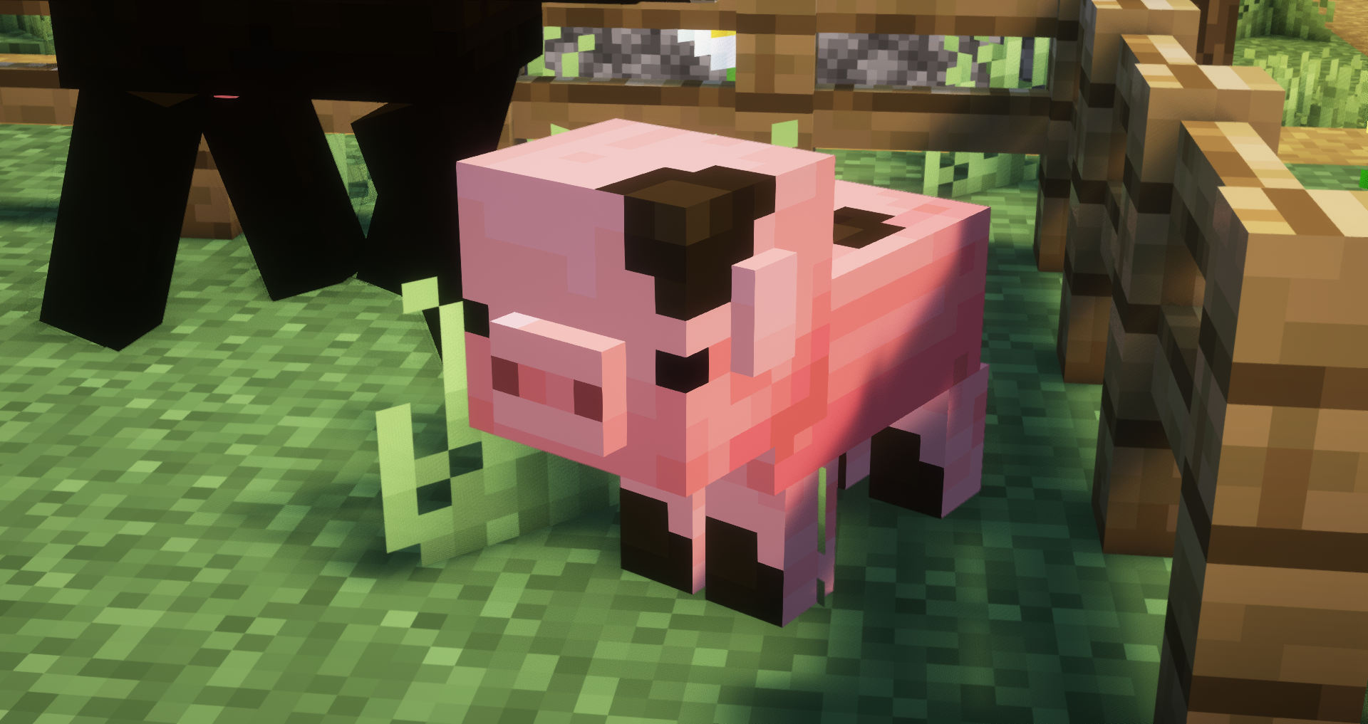 Pig