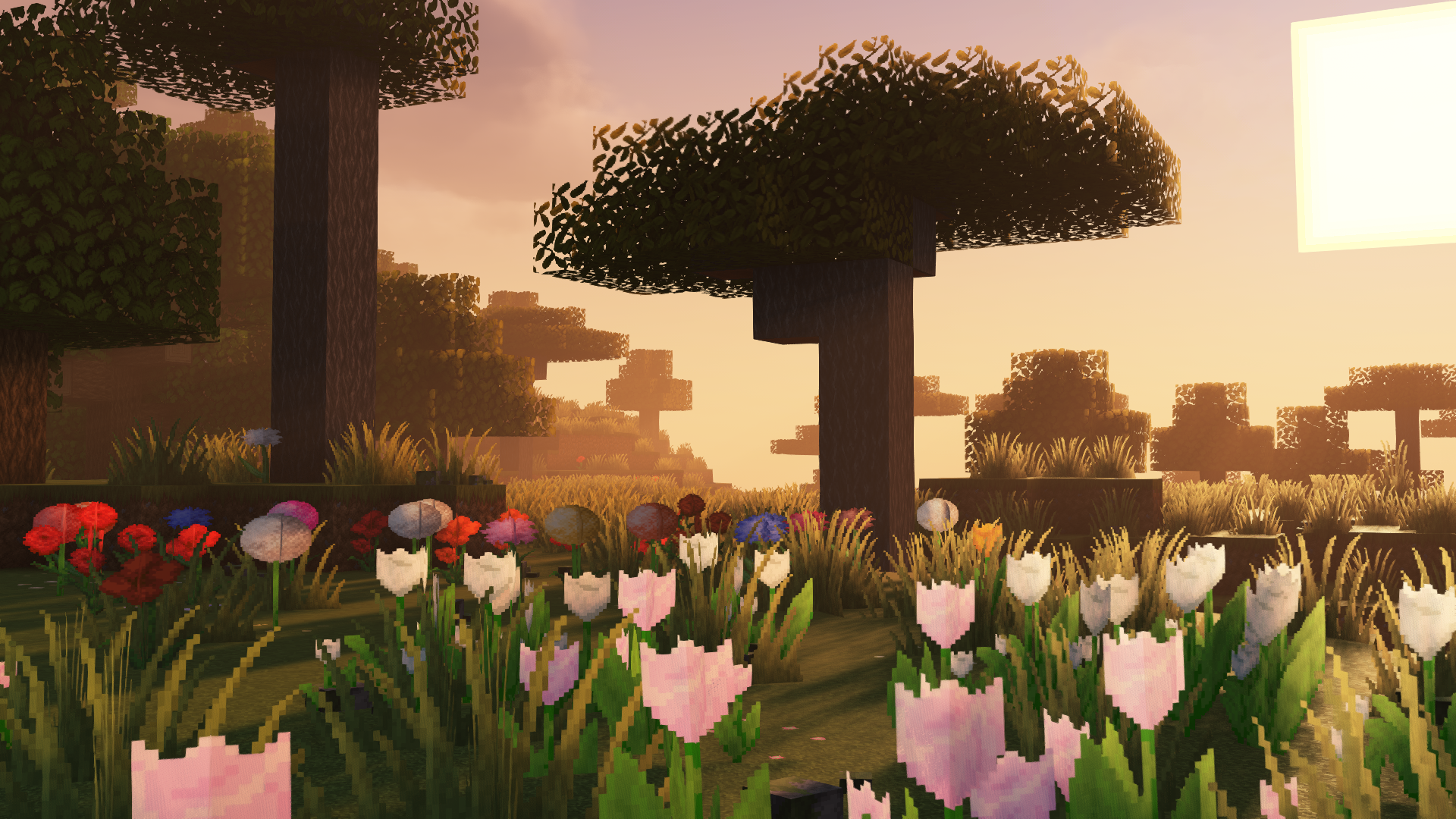 Flooooowers