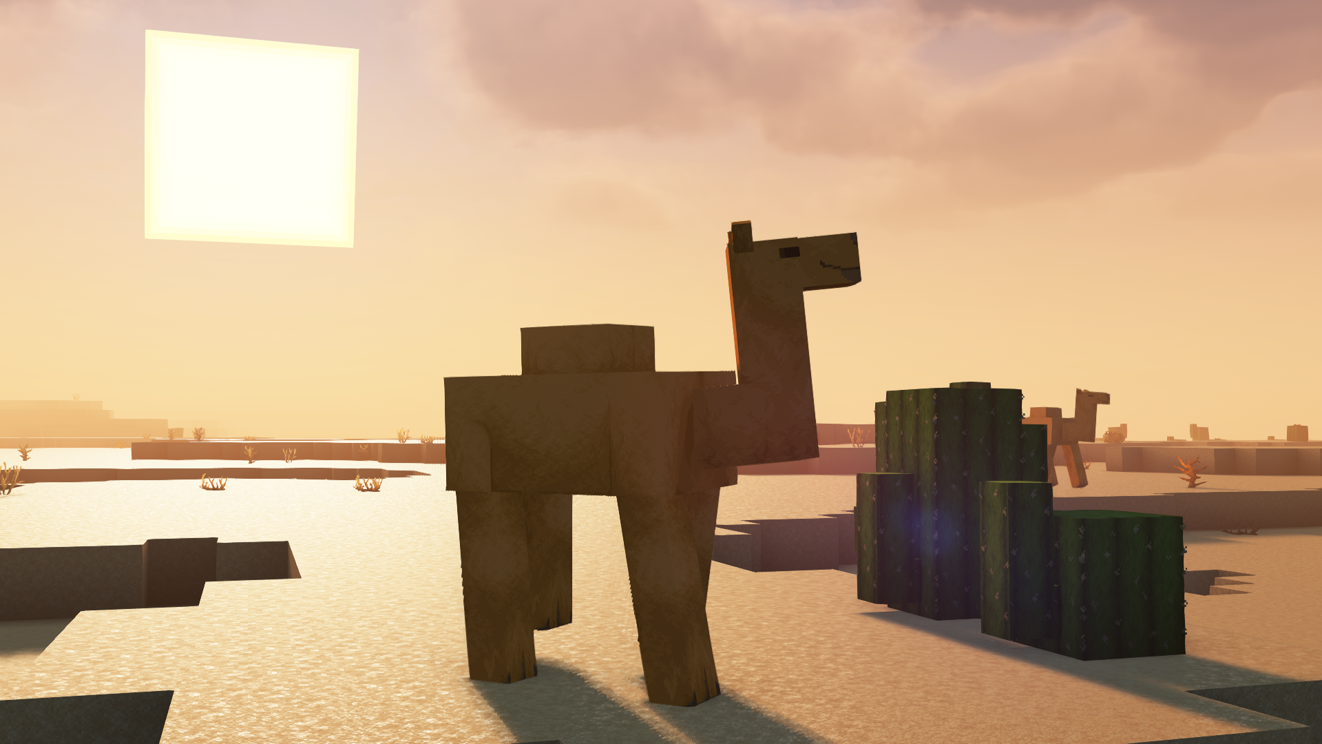 Camel