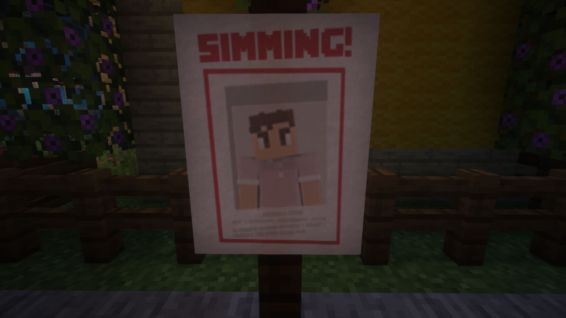 Simming Poster Aaron