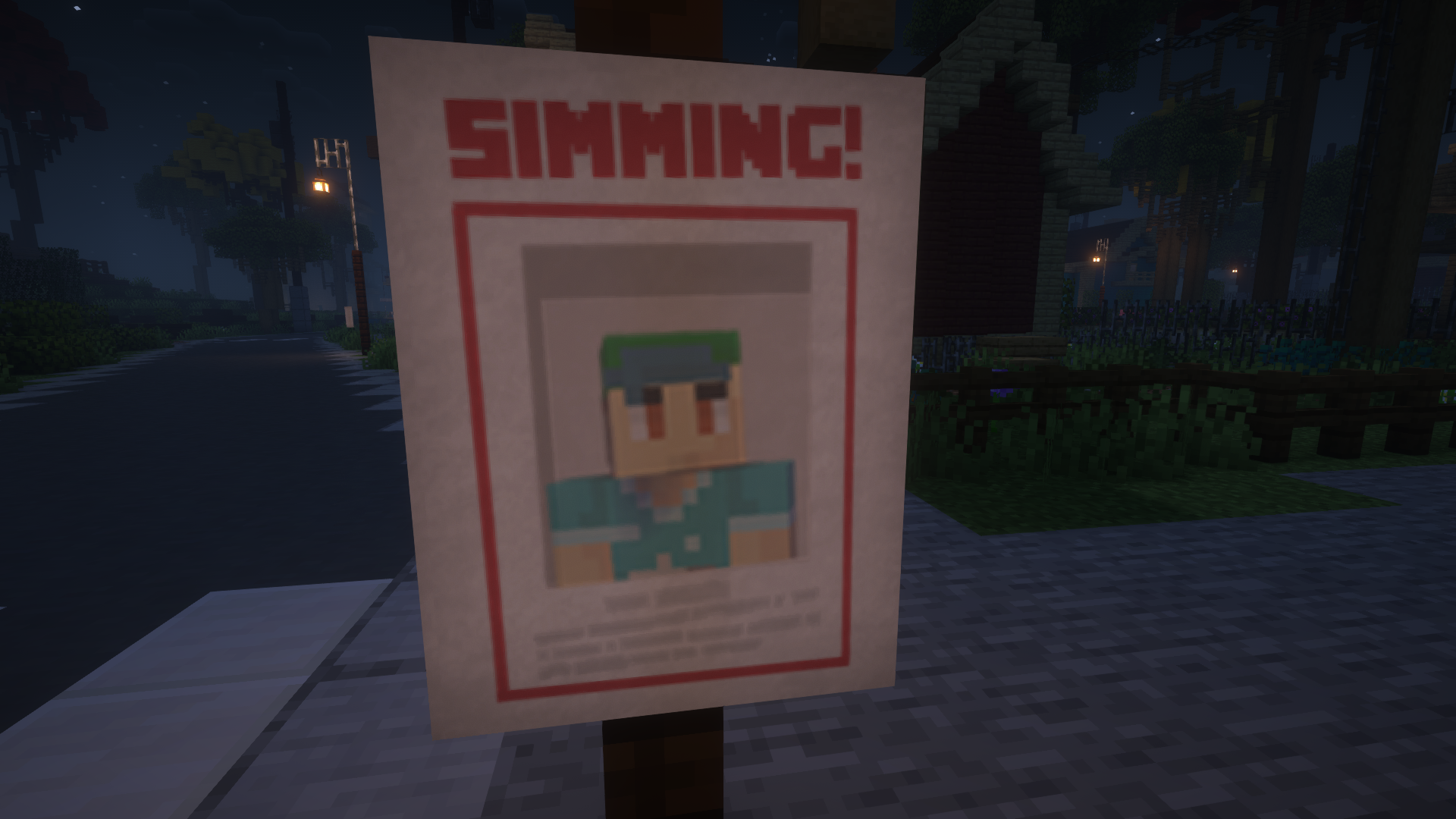 Simming Poster Nicky