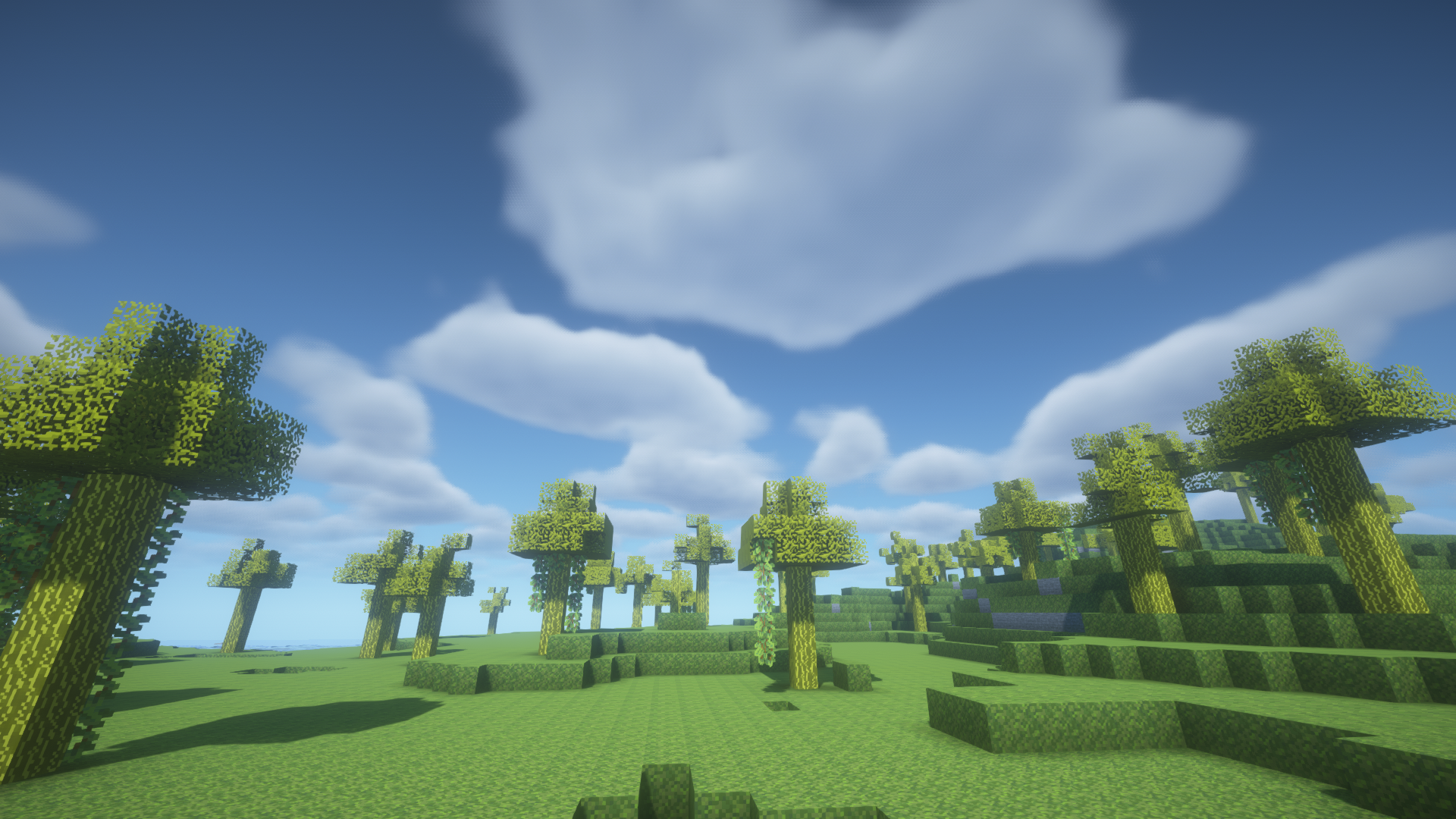 New Biome