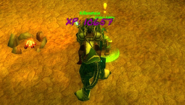 <p>The font during xp gain!</p>