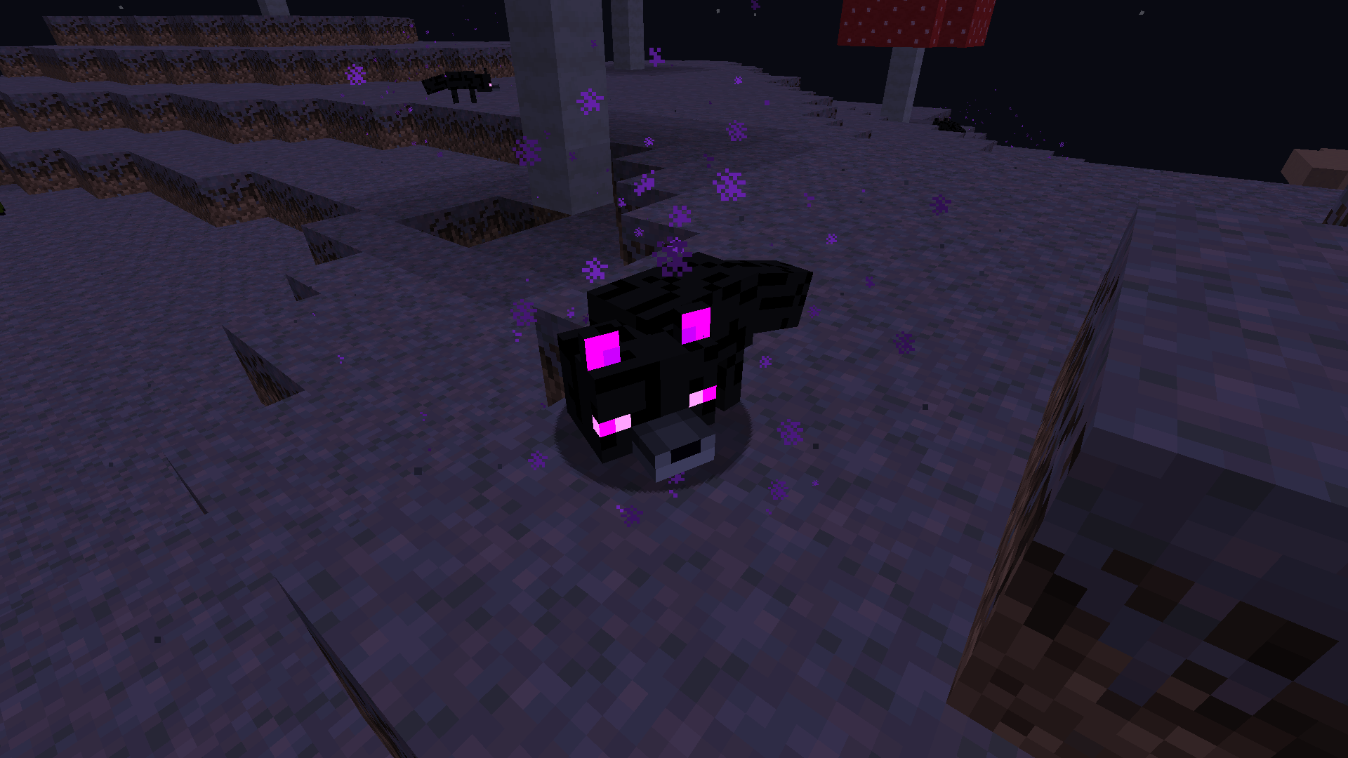 screenshot thumbnail