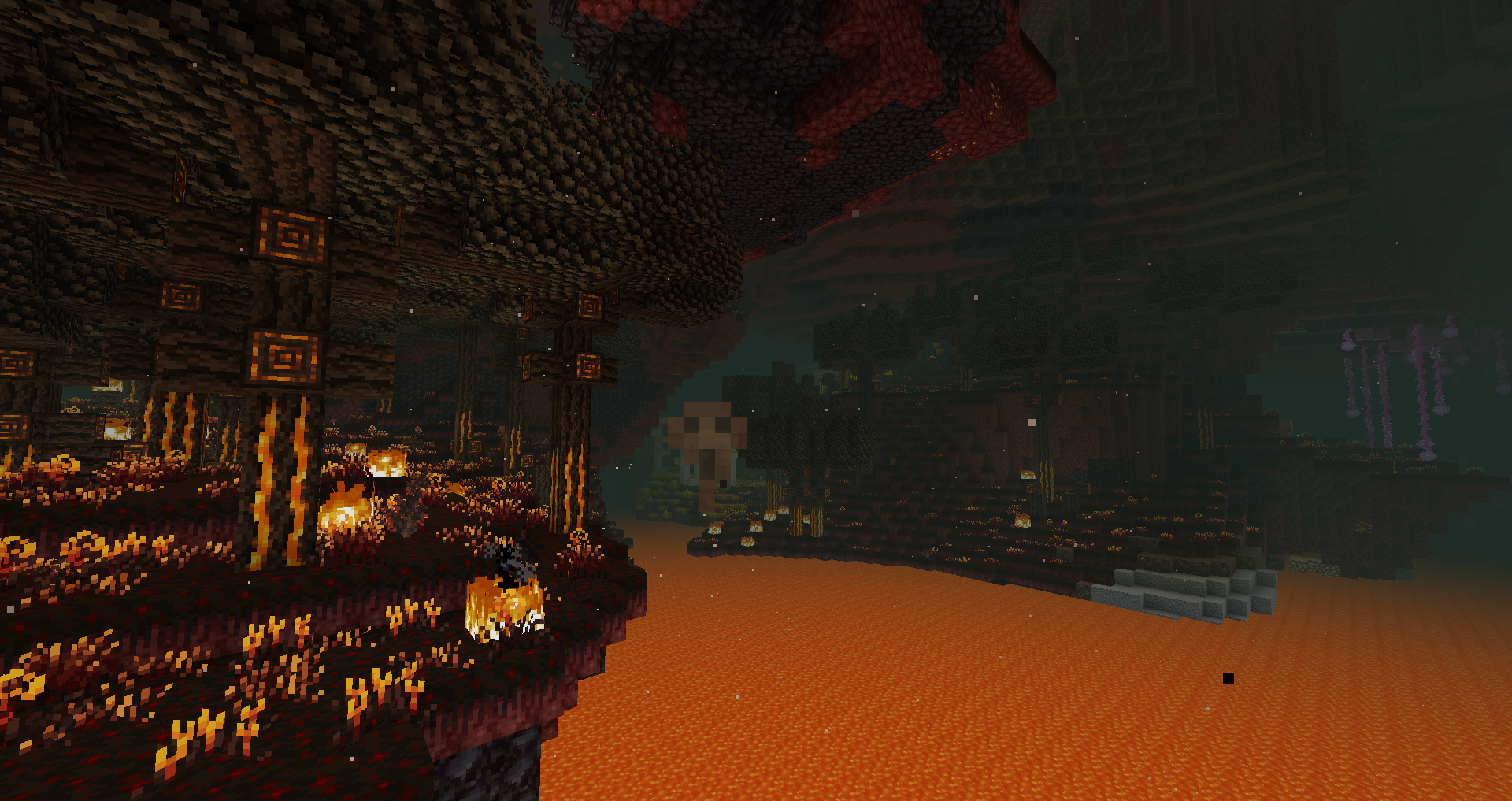 Thumbnail The nether is now host to many biomes. Some of which had tried growing plant life
