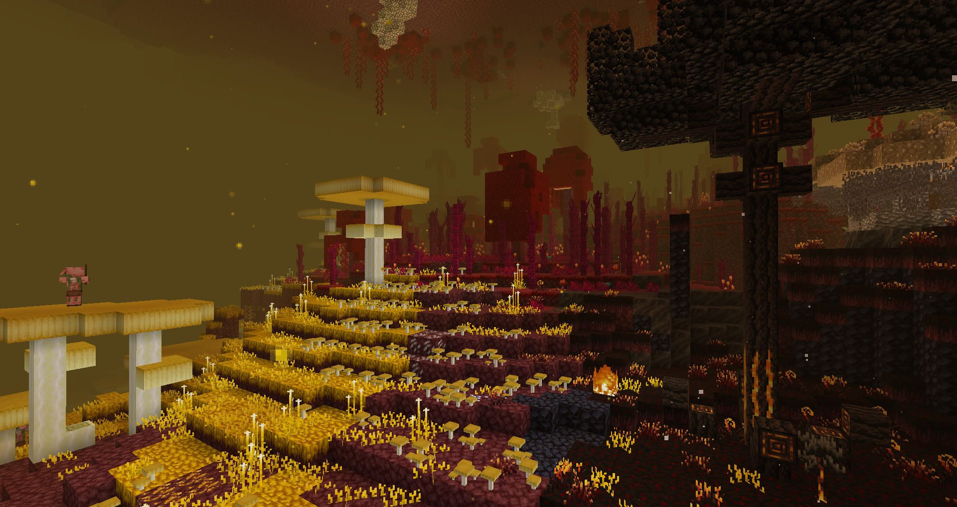 Thumbnail There are now many types of fungi growing in the nether. We no longer just have red and blue, but yellow as well