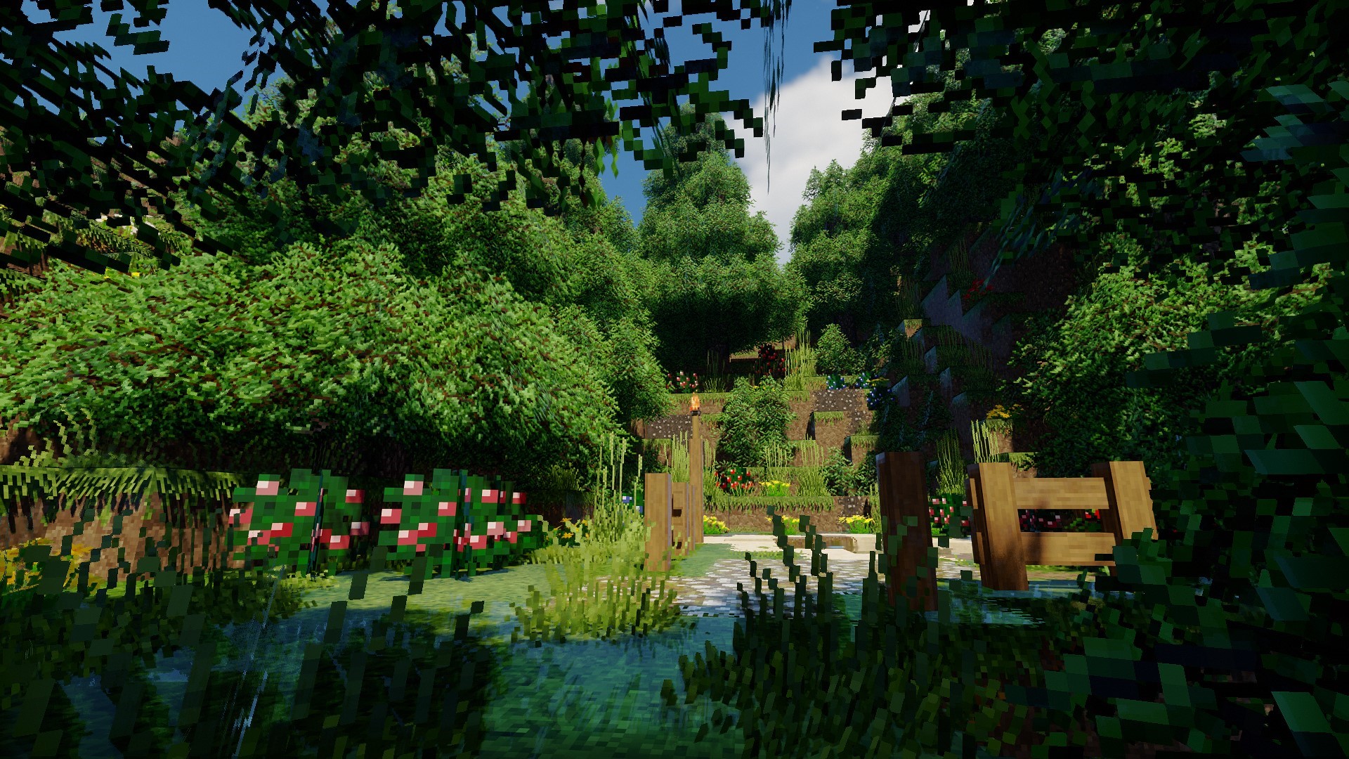 Berries Surrounding an Oasis