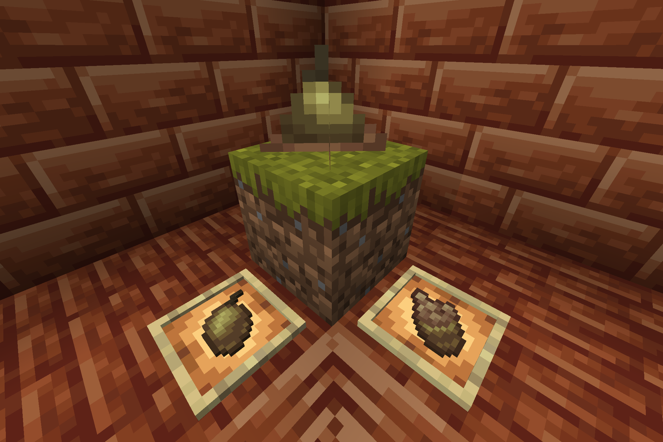 Thumbnail Fruit from Baobab