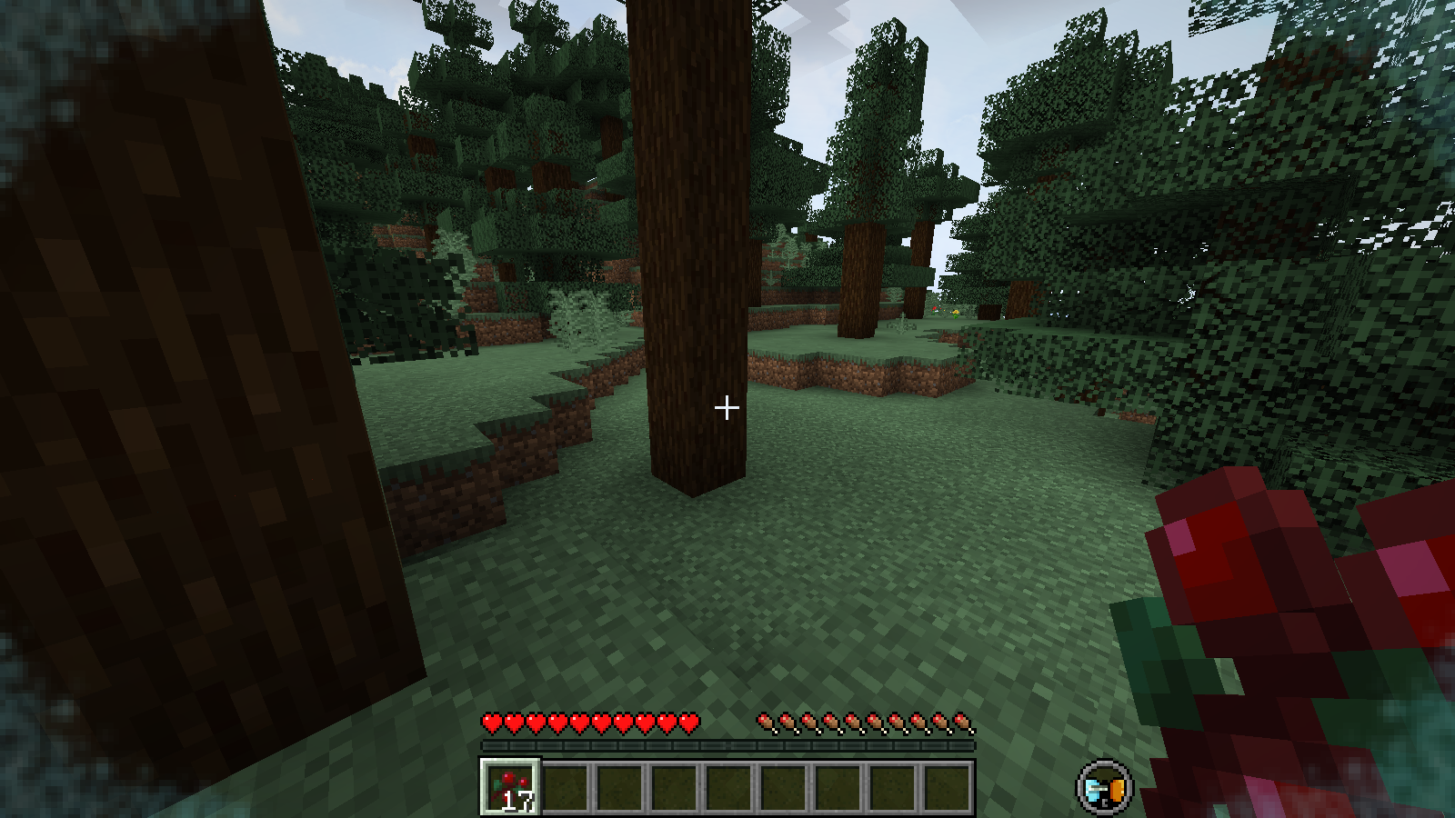Screenshot thumbnail