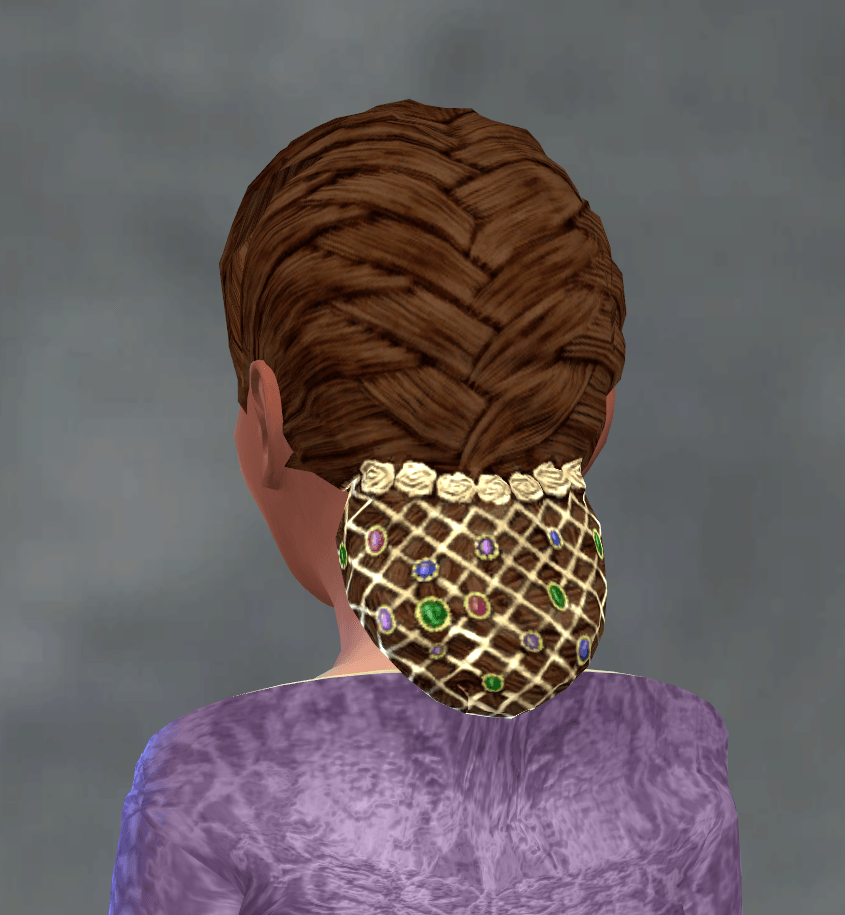 TSM French Braid with Jewelled Hairnet