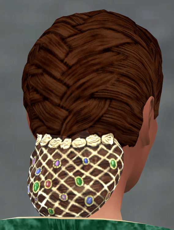 TSM French Braid with Jewelled Hairnet