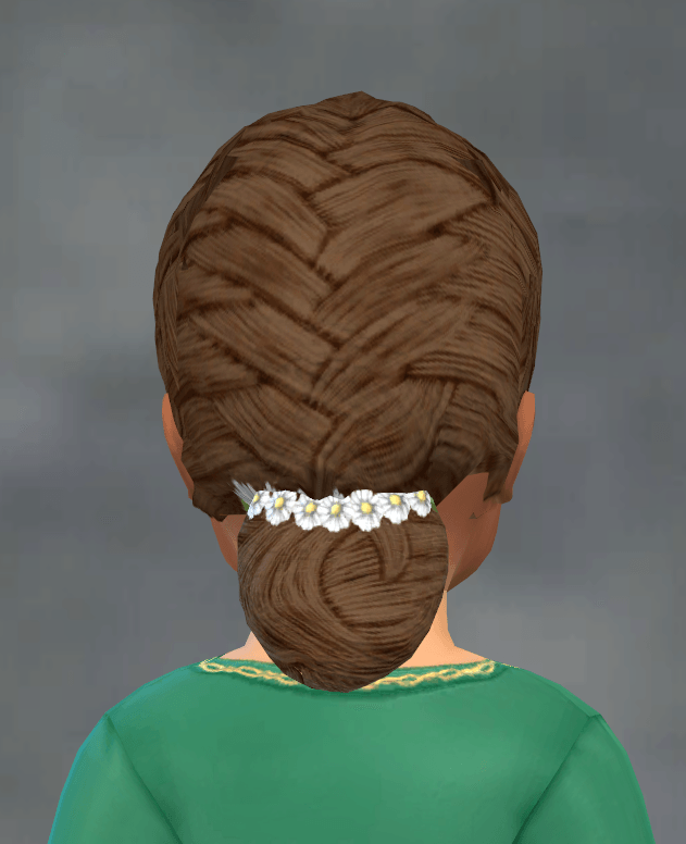 TSM French Braid with Daisy Flowers