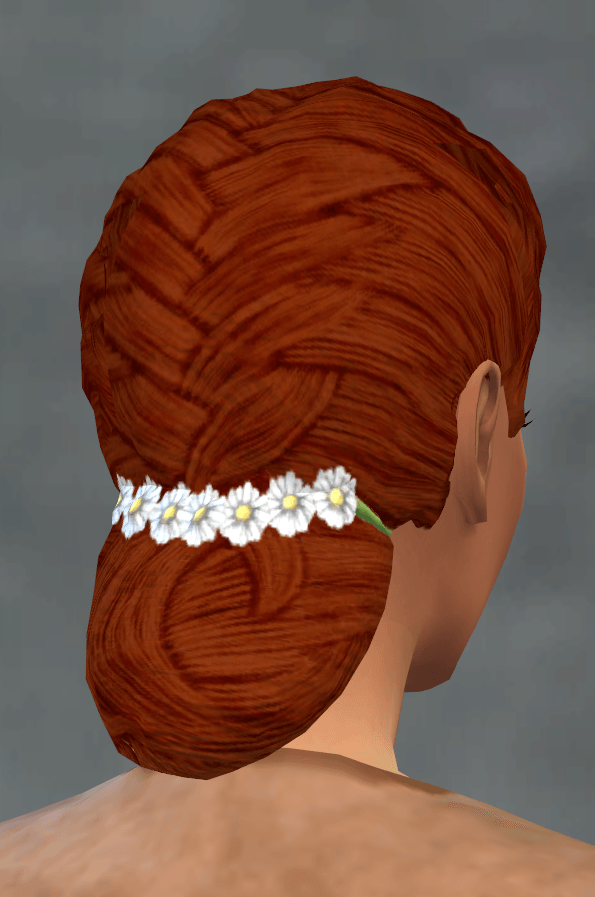 TSM French Braid with Daisy Flowers