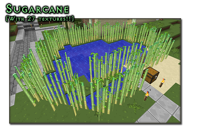 sugarcane