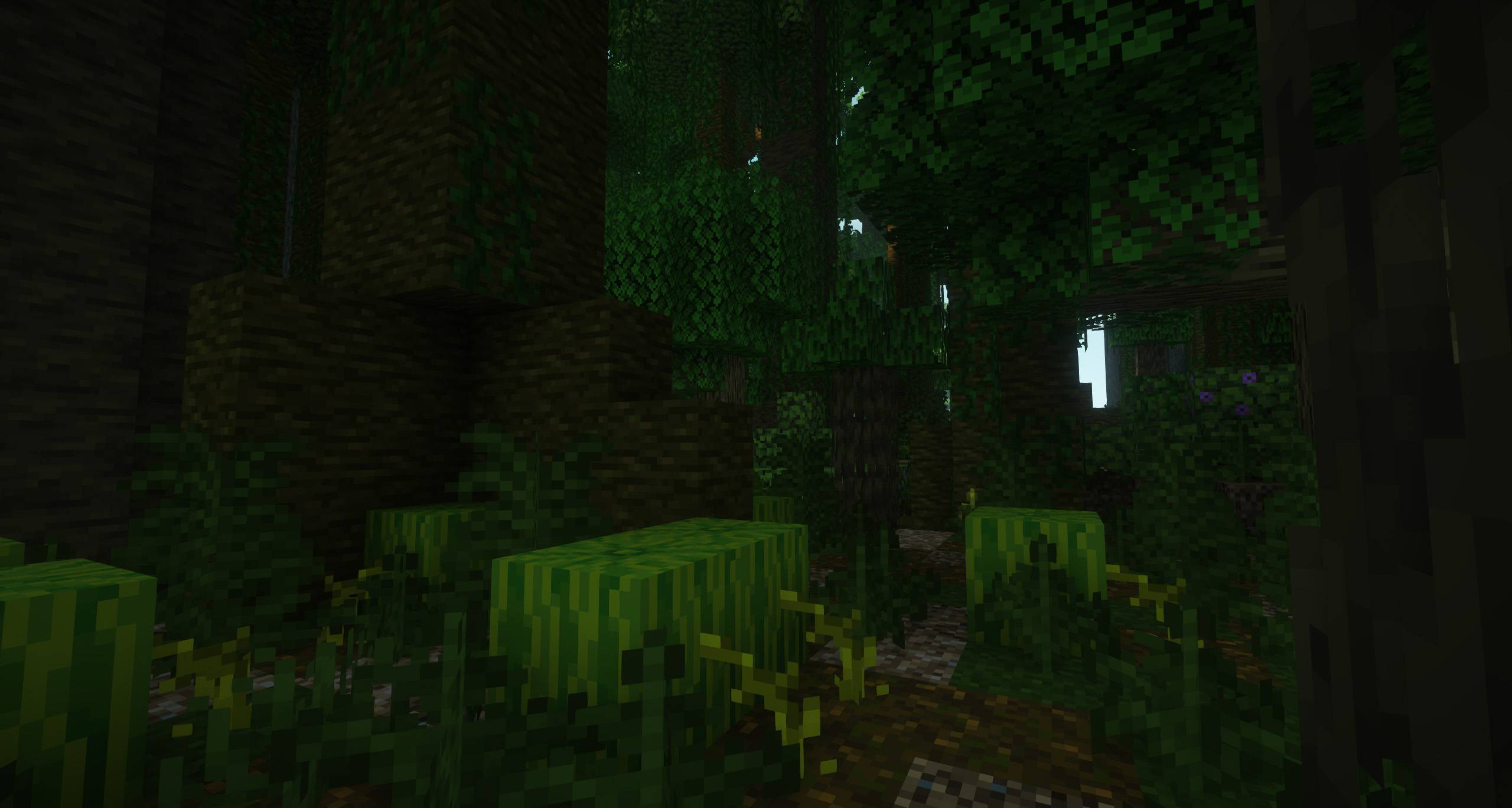 More Biomes [FABRIC] 1.21 UPDATE! Minecraft Modpacks