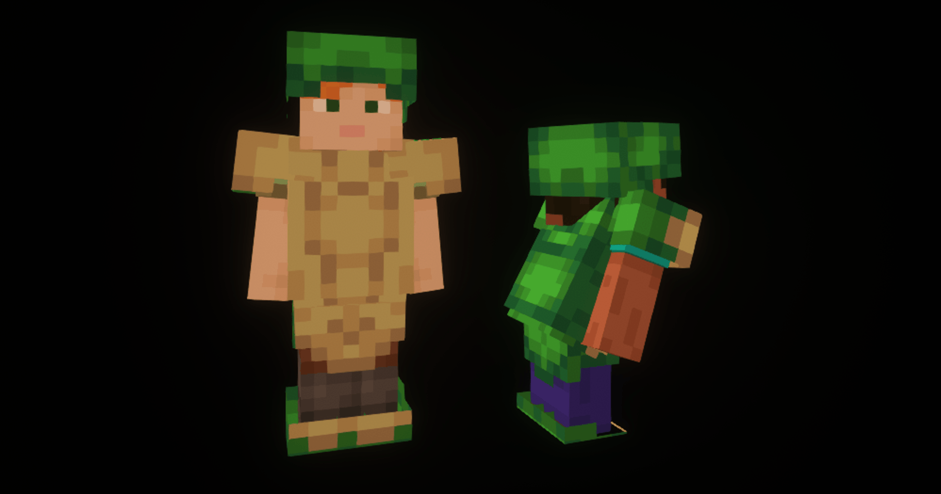Turtle Armor