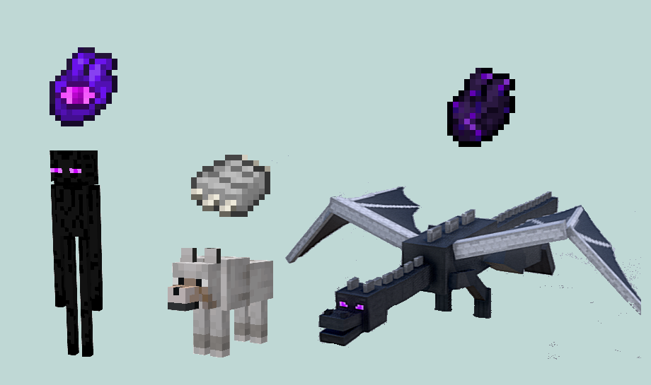 Show organs corresponding to entities