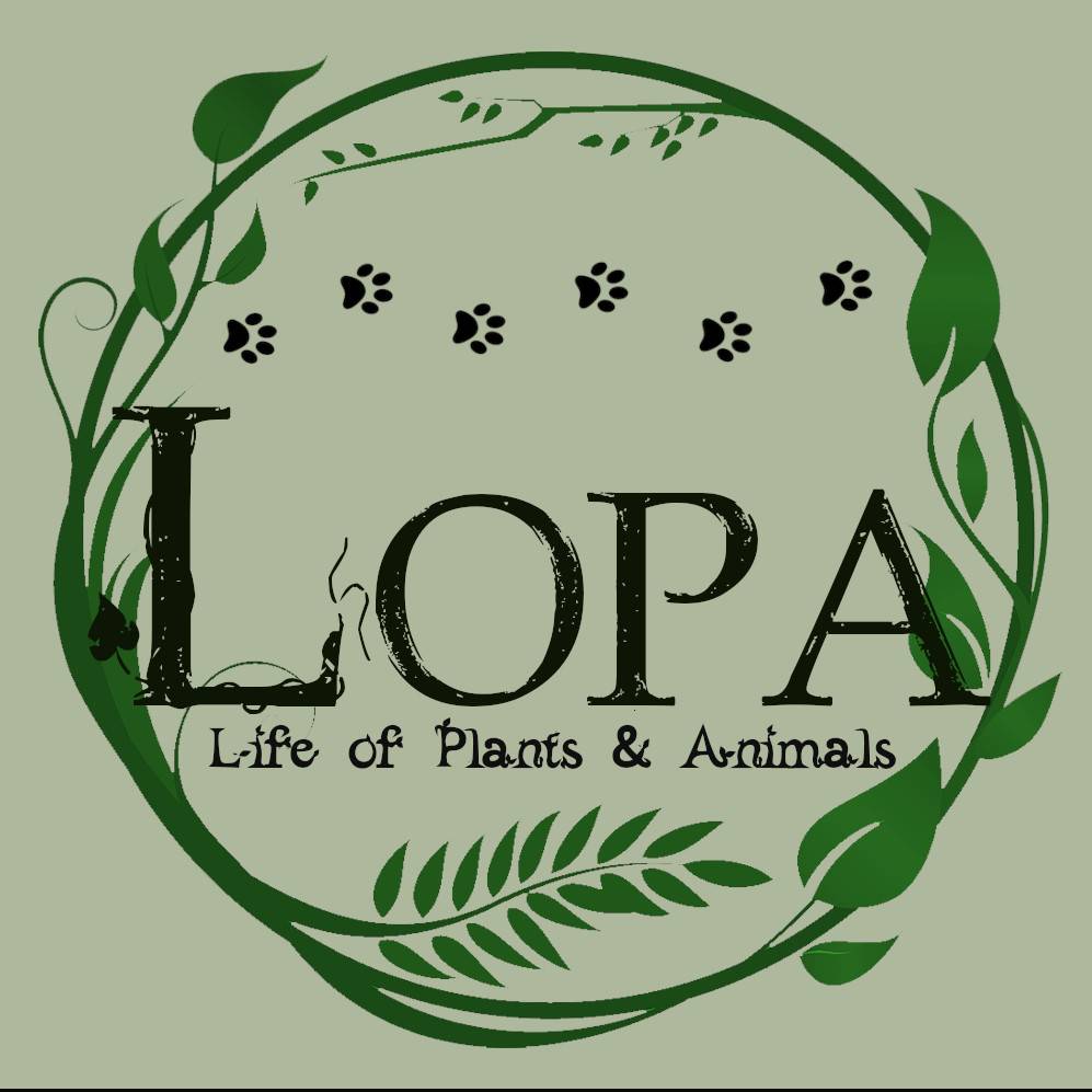 LOPA - Life of Plants and Animals FABRIC - Gallery - Minecraft Modpacks ...