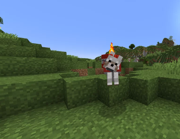 ignited dog