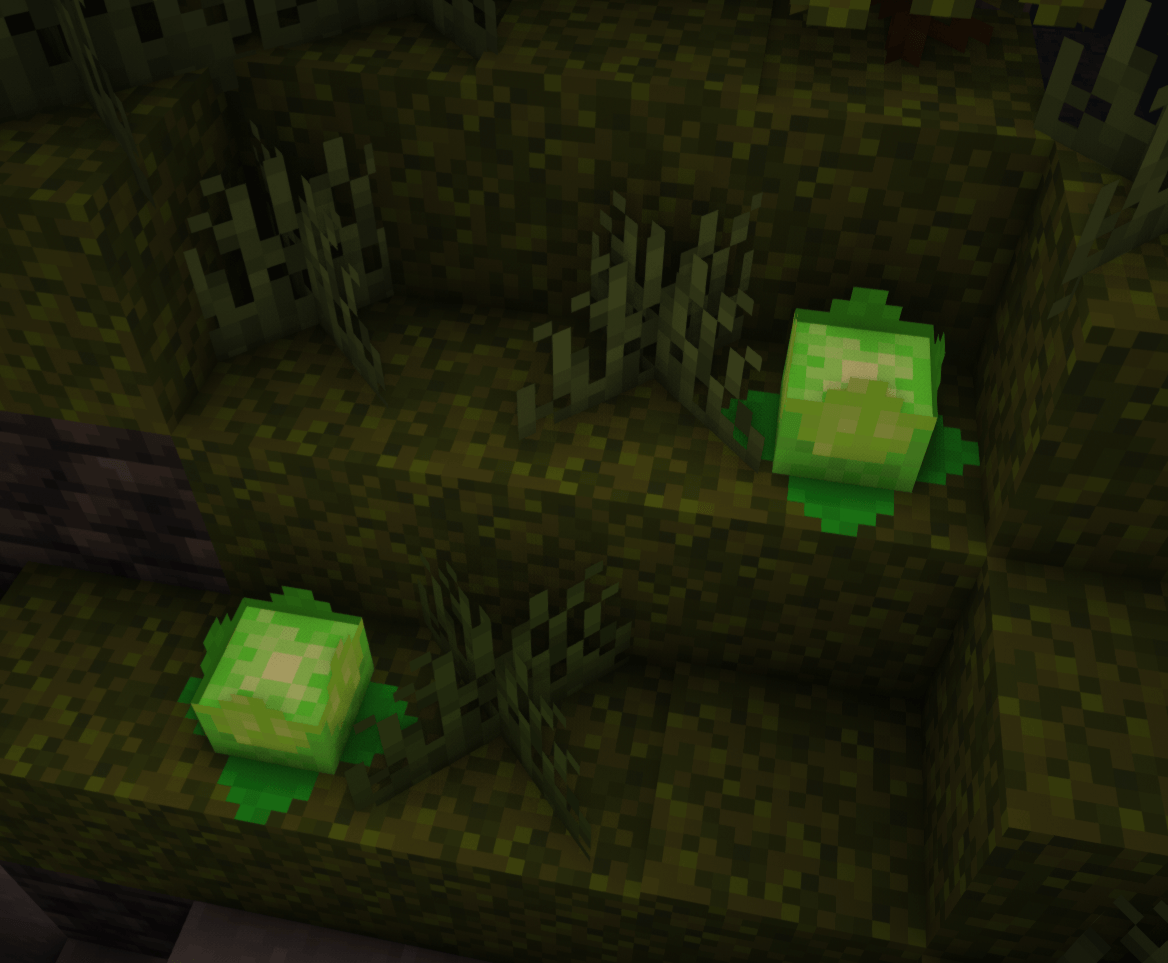 Thumbnail Some rare stamina fruits that can be found in lush caves. Touching one is enough to restore about half of your hunger
