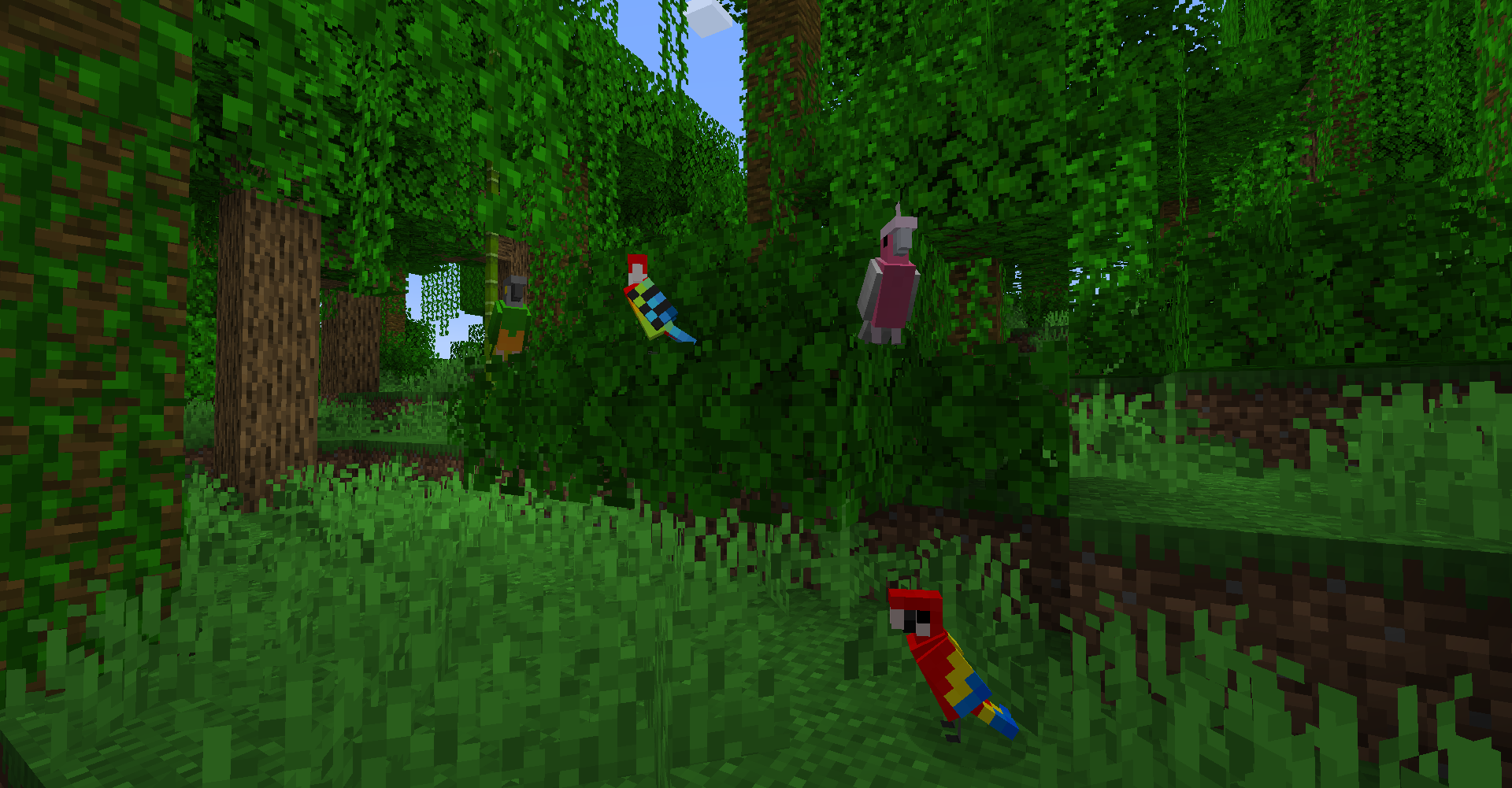 Thumbnail Parrots in the jungle