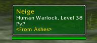 <p>Player - flagged, PvP line enabled</p>