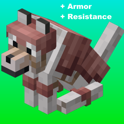 Dog Armor