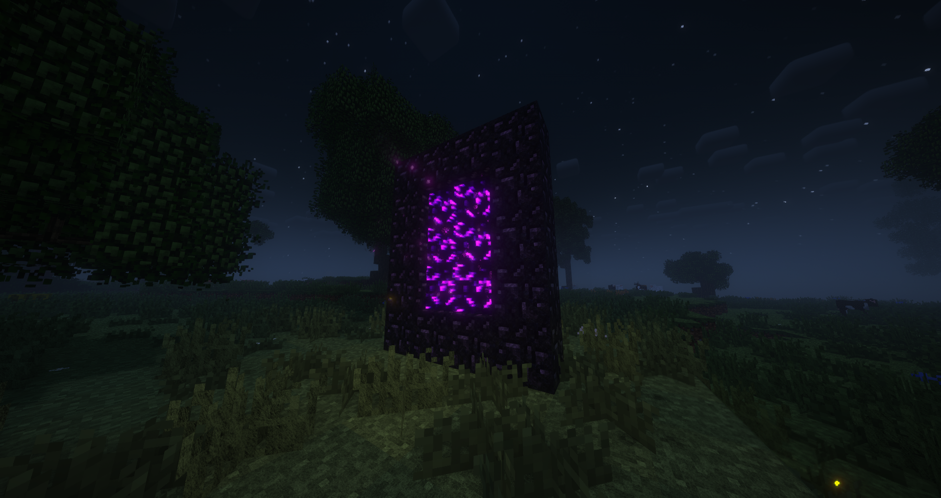 nether portal