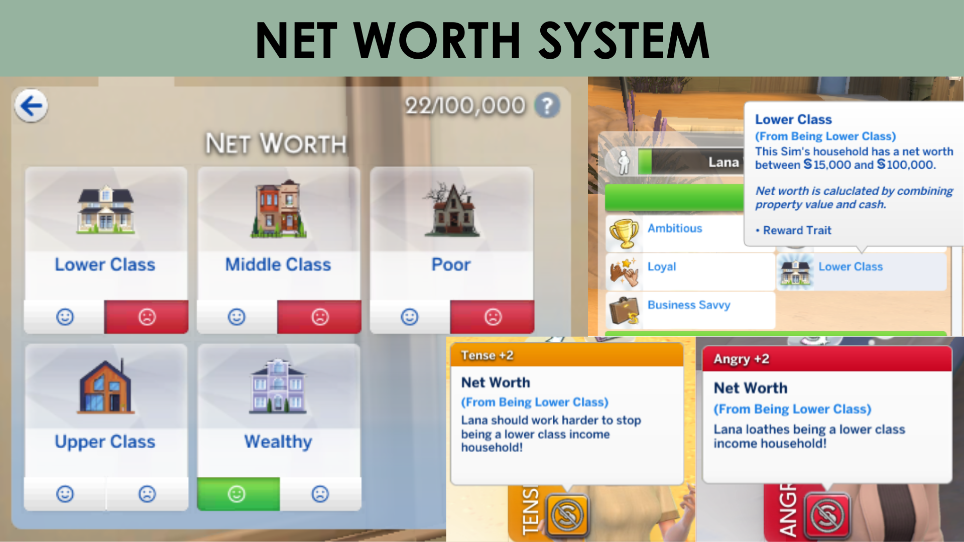 Net Worth System