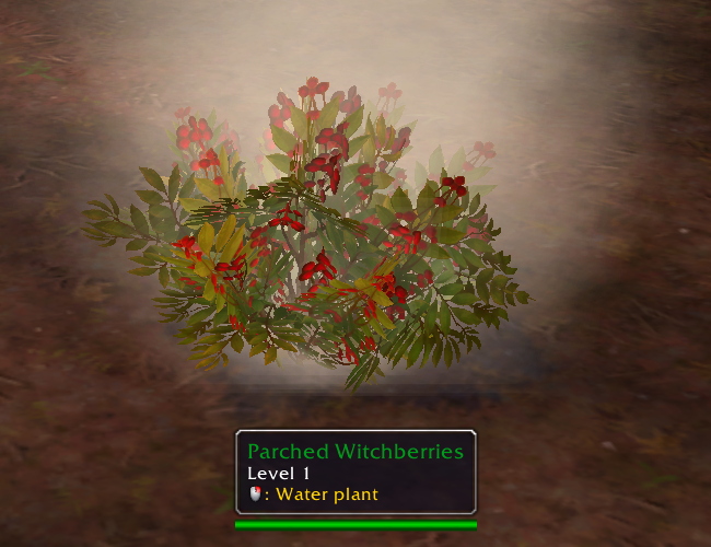 Water Plants