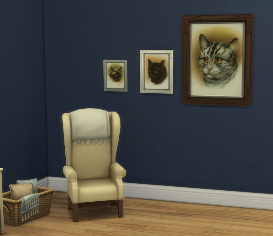 cat room