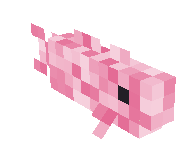 Pink Cod