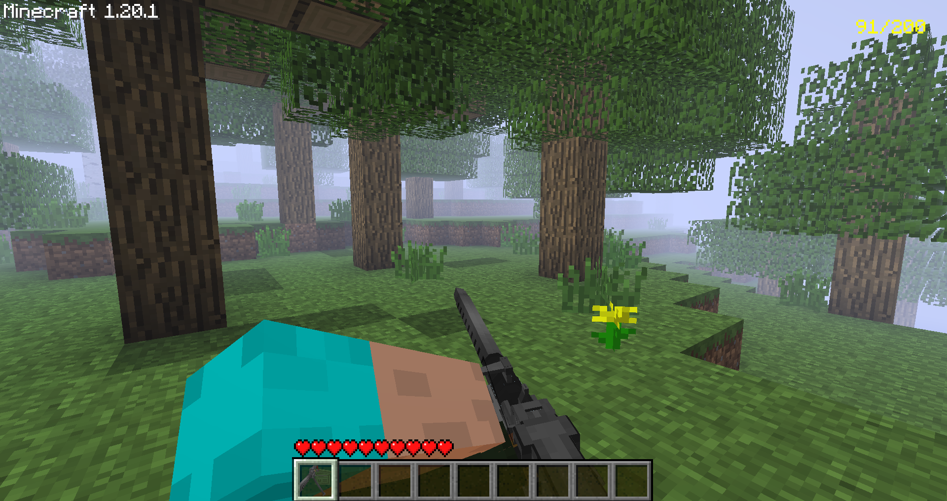 hunting herobrine