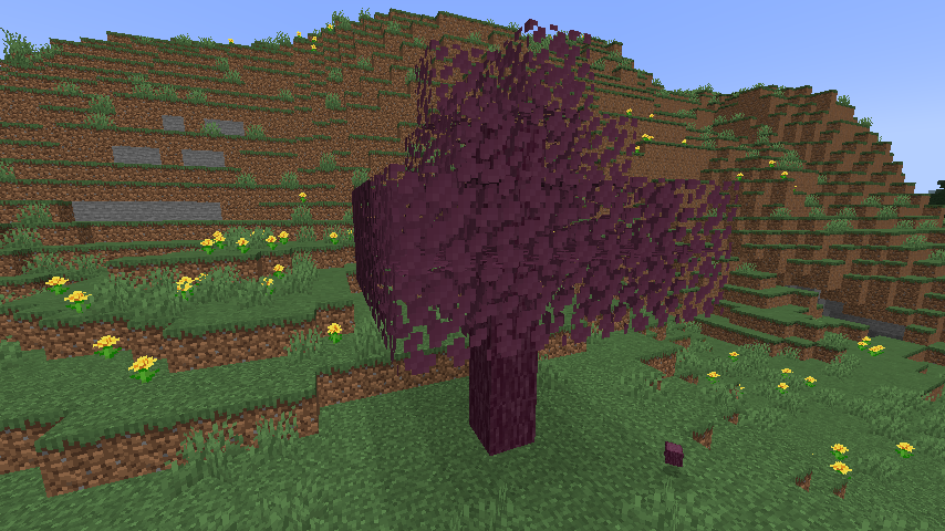 Enchant Tree